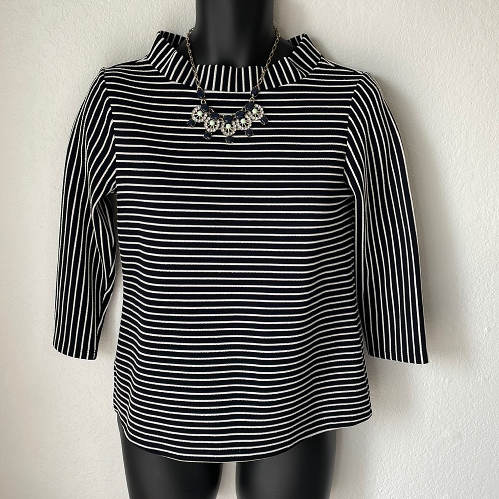 Ann Taylor Striped Funnel Neck Top